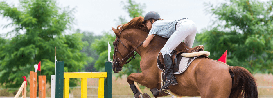 Enhance Your Comfort and Mobility | Joint Health Collection - Total EquiHealth