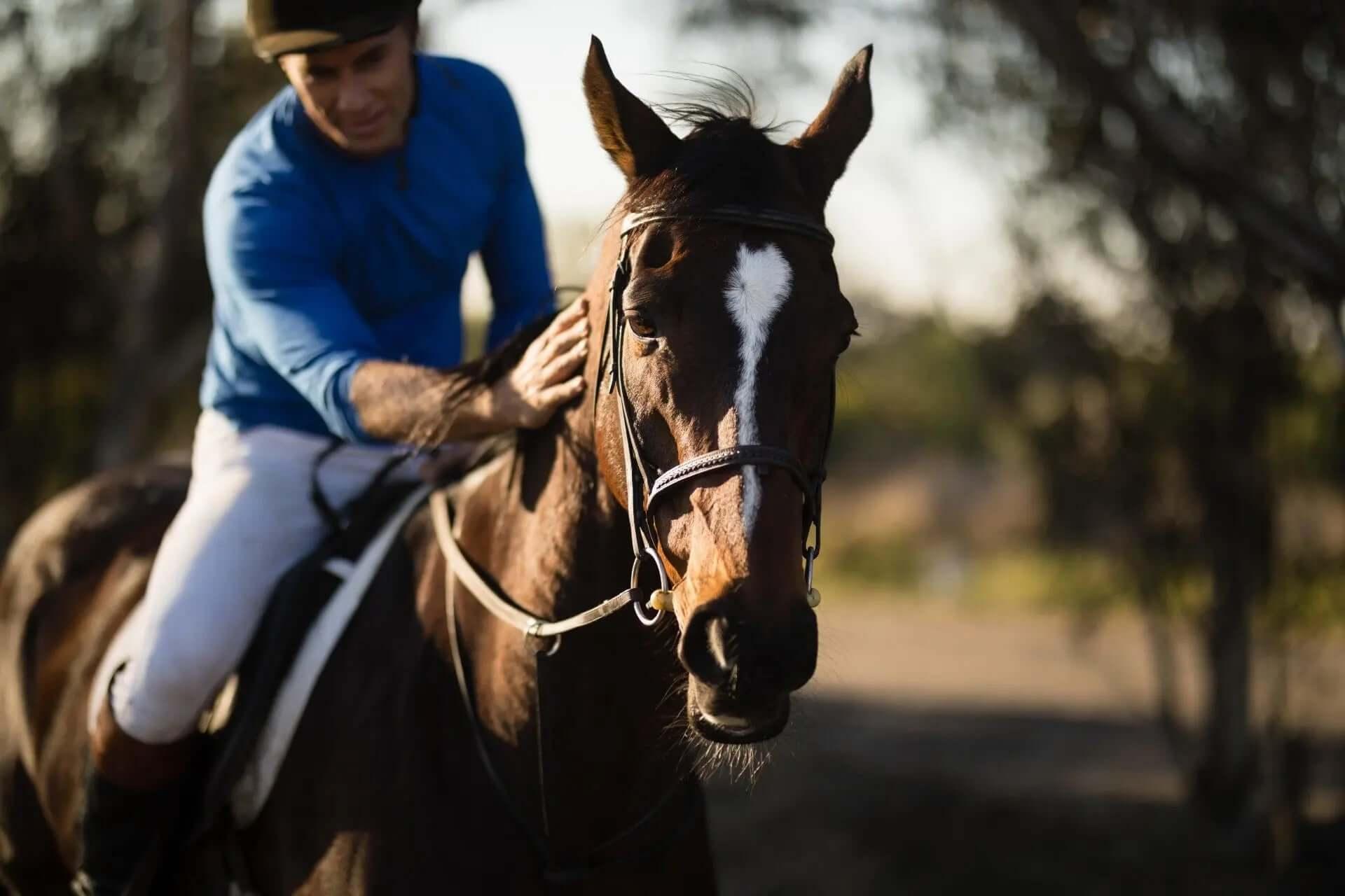 Featured - Total EquiHealth