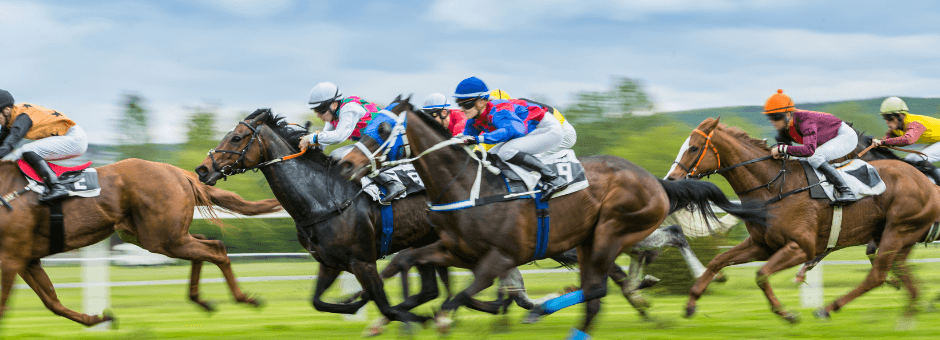 Featured Rider Products - Total EquiHealth