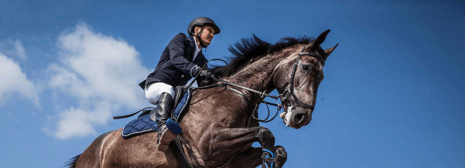 Promote Healing and Recovery | Muscle Repair & Support Collection - Total EquiHealth