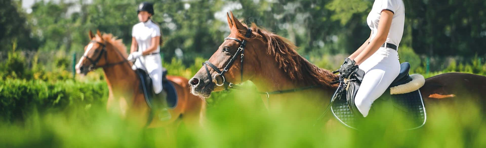 Rider - Total EquiHealth