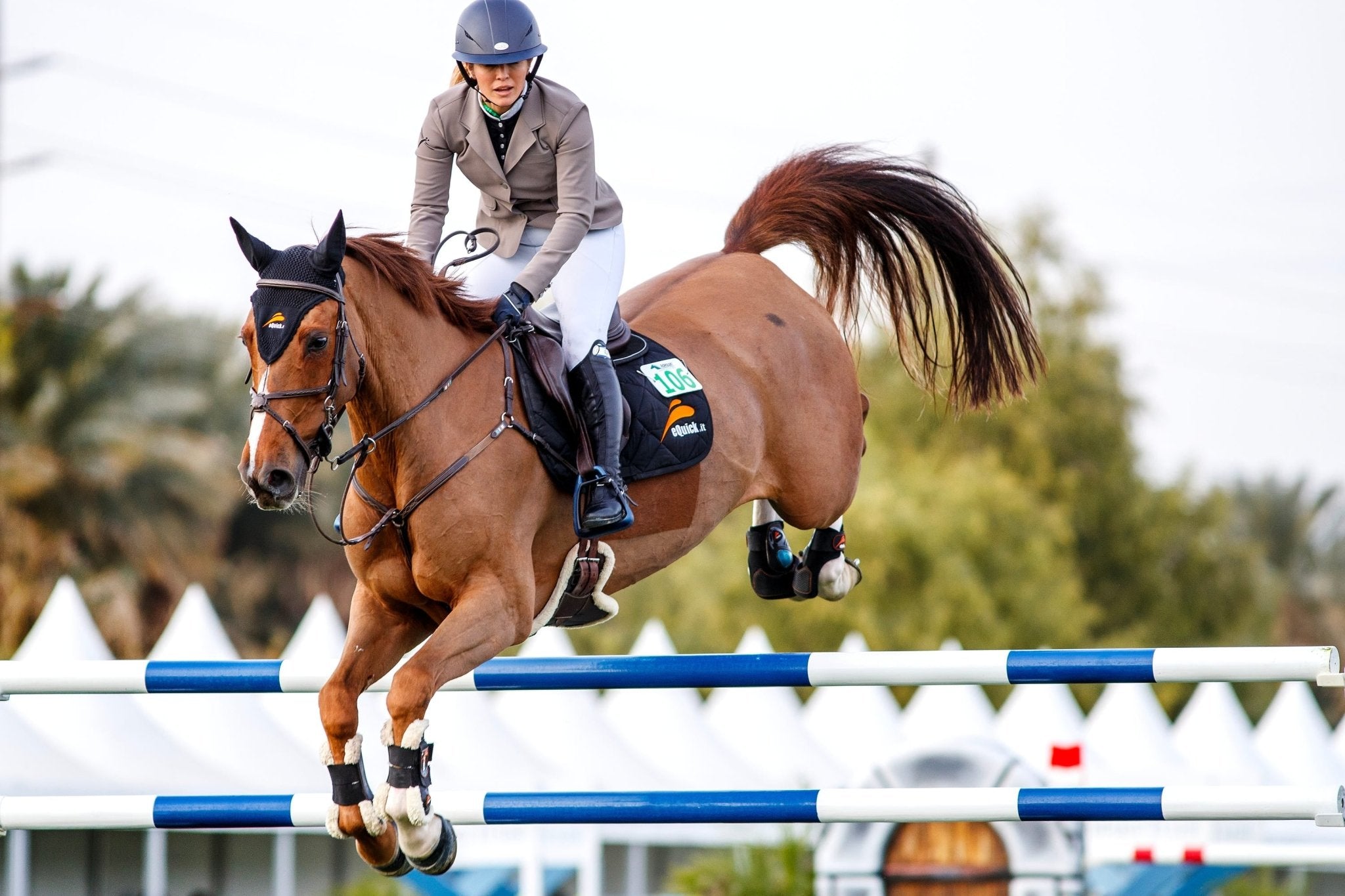 Support Performance and Recovery | Muscle Recovery Collection - Total EquiHealth