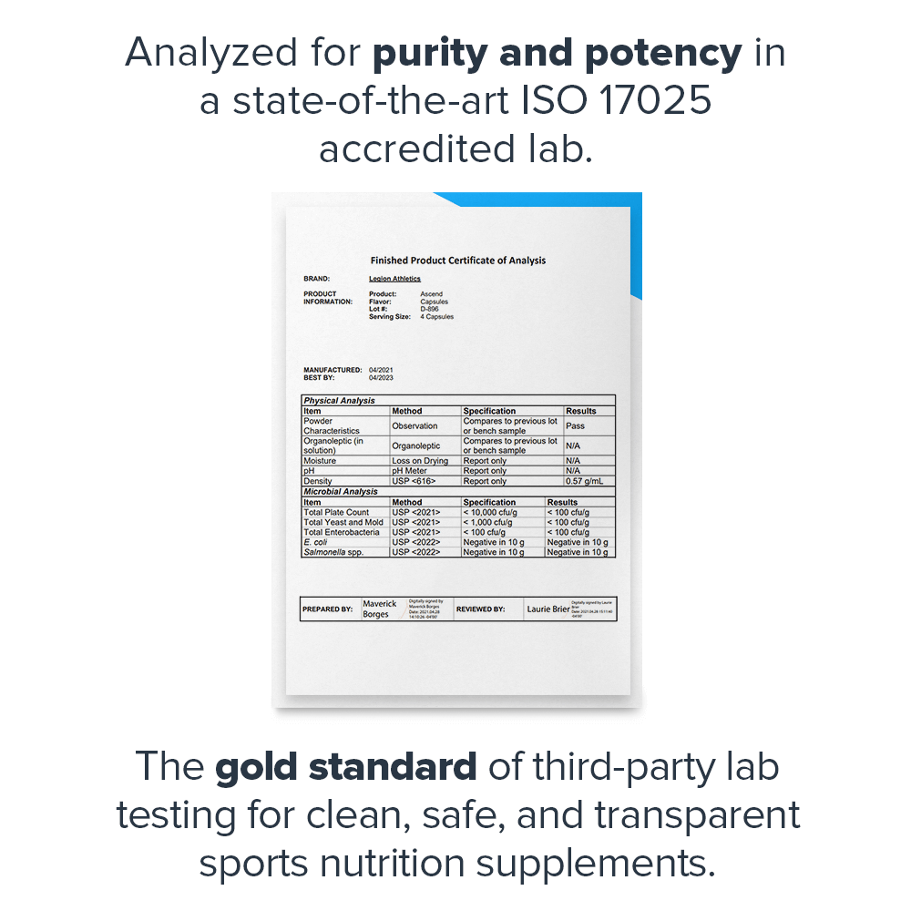 Ascend Nootropic - Total EquiHealth