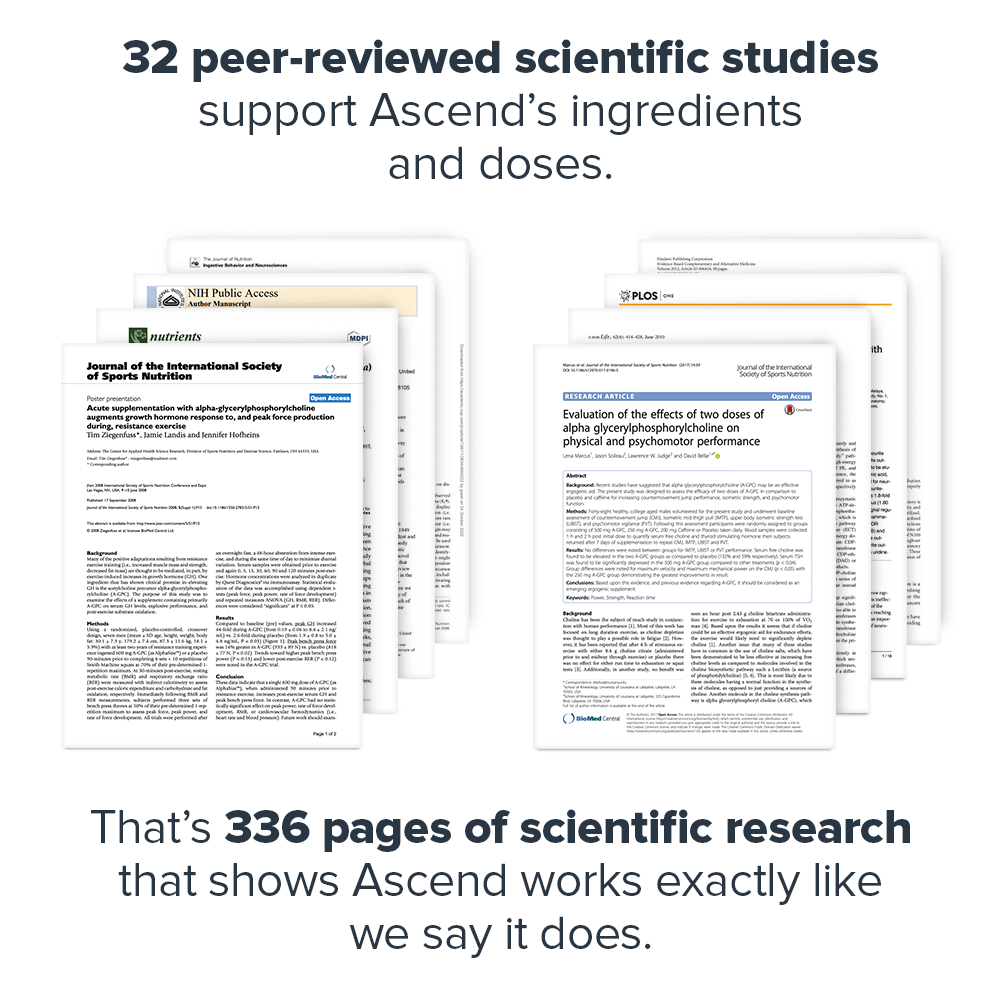 Ascend Nootropic - Total EquiHealth