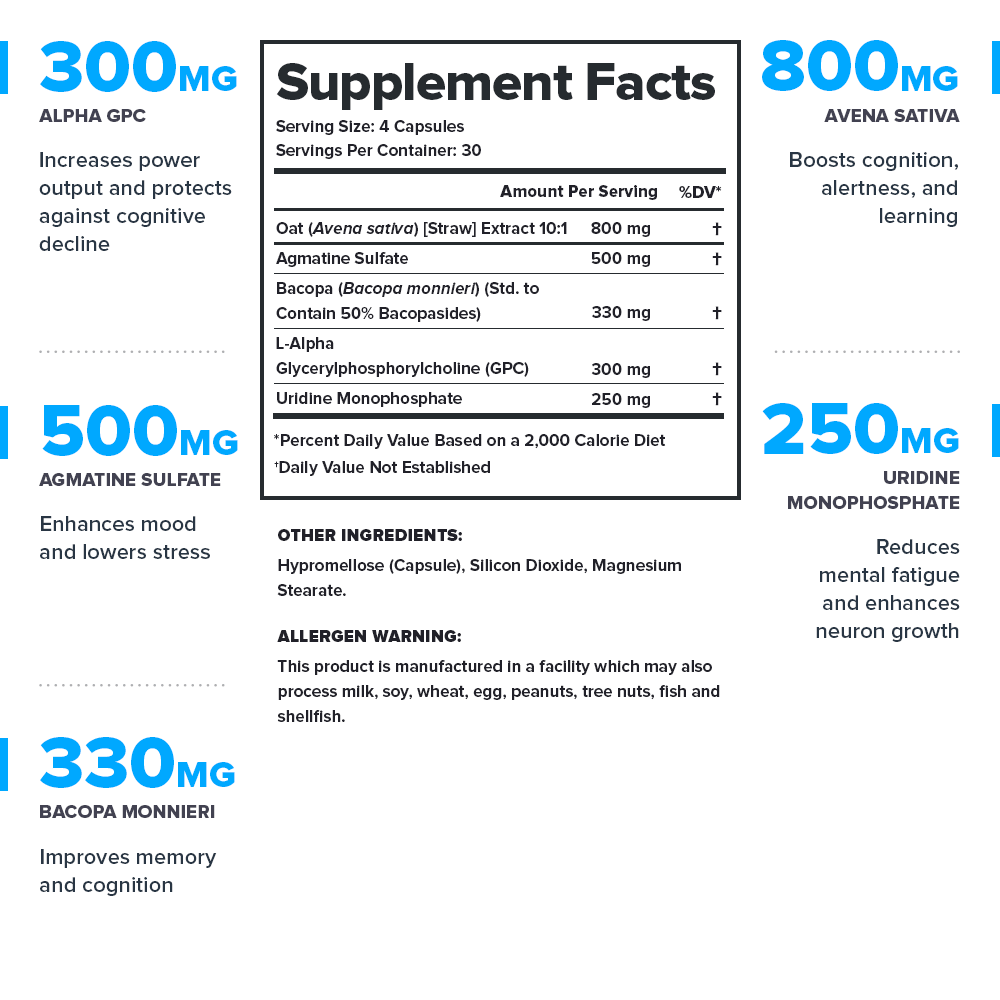 Ascend Nootropic - Total EquiHealth