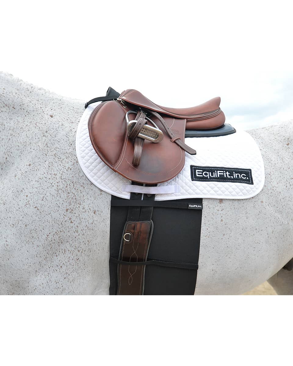 BellyBand® - Total EquiHealth