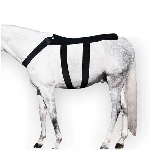 Ice Horse Back Blanket IceHorse