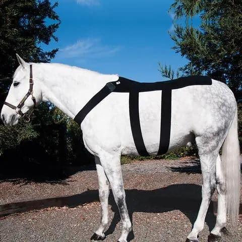 Ice Horse Back Blanket IceHorse