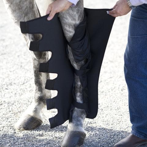 Ice Horse Full Hind Leg Wraps IceHorse