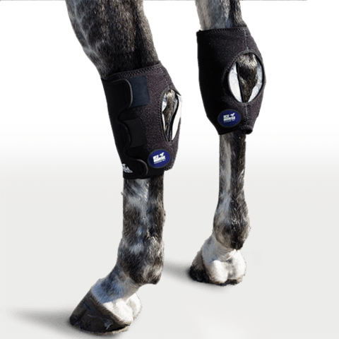 Ice Horse Hock Wraps IceHorse