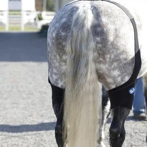 Ice Horse Stifle Wraps IceHorse