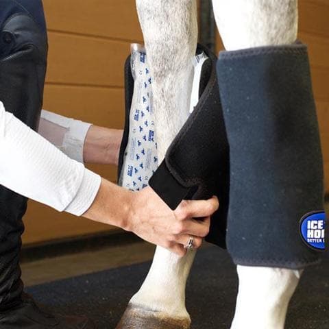 Ice Horse Tendon Wraps IceHorse