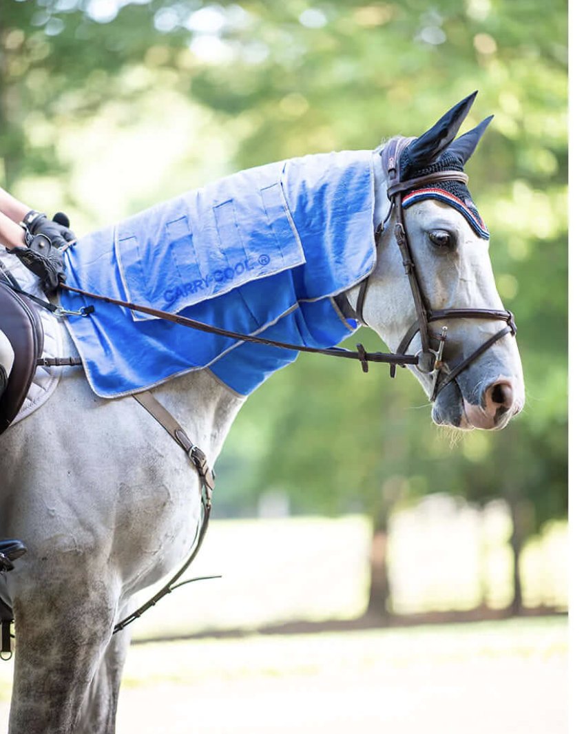 Carry-Cool Sport Horse Kit