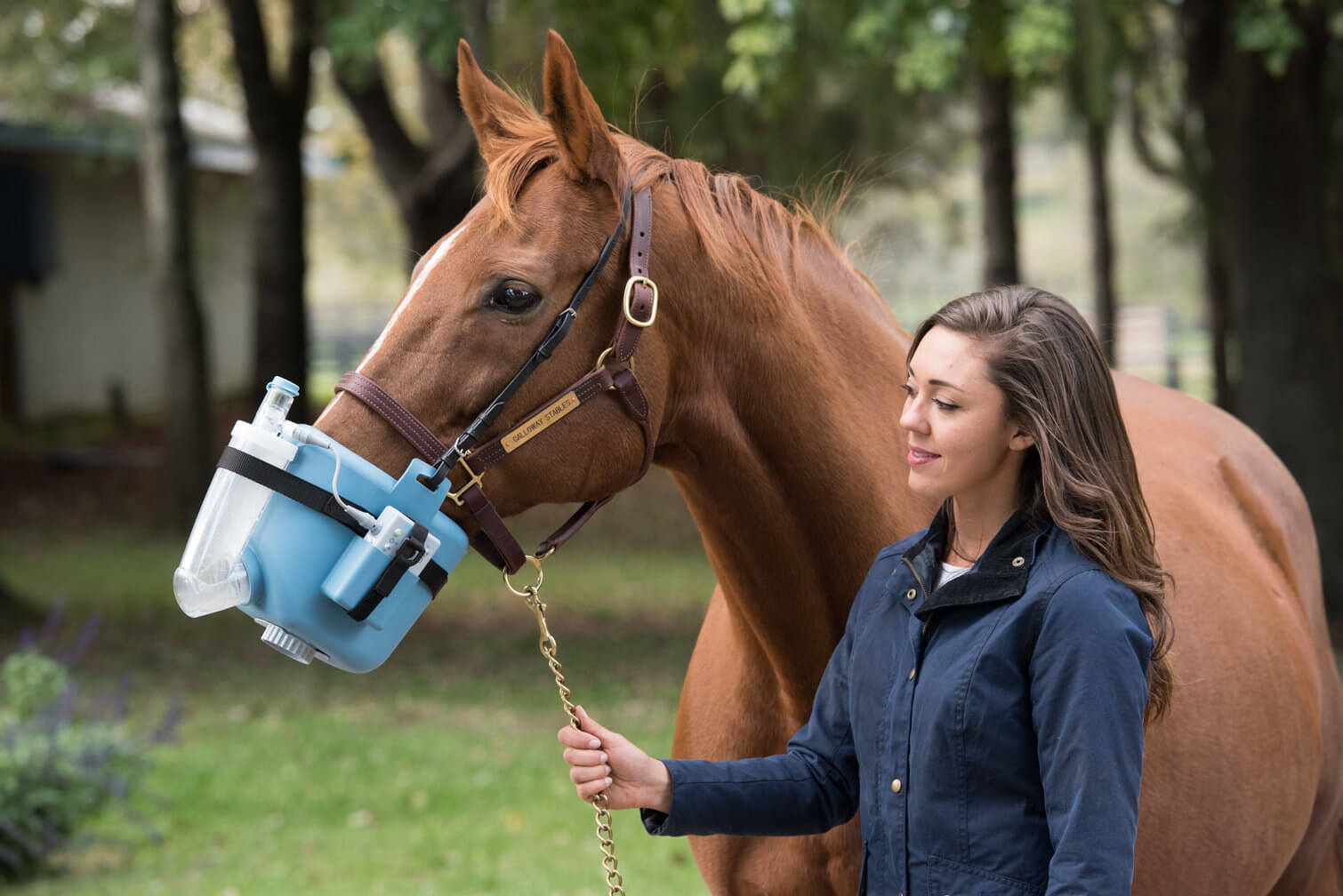 Revolutionize Respiratory Treatment for Horses | Total Flexineb - Total EquiHealth