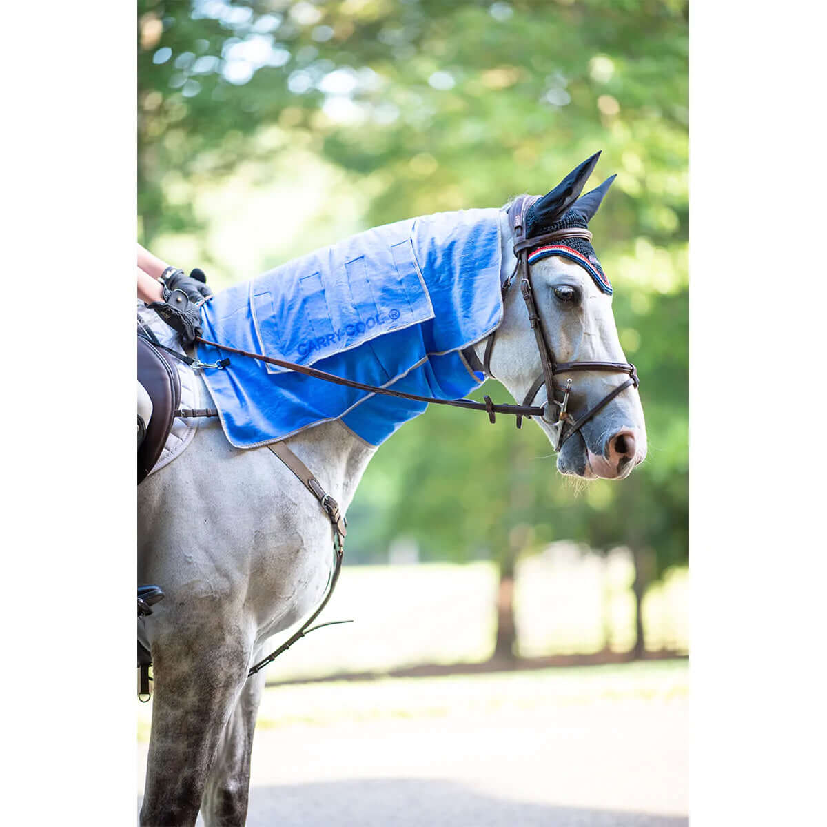 Carry-Cool® Sport Horse Cooling Kit - Total EquiHealth