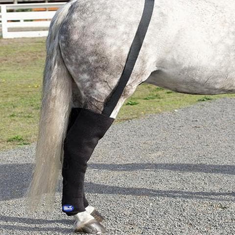 Ice Horse Full Hind Leg Wraps IceHorse