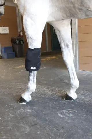 Ice Horse Knee Wraps IceHorse