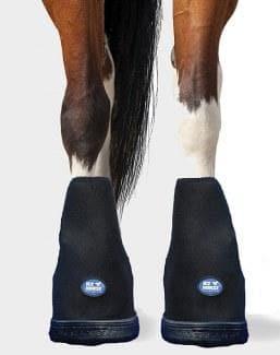 Pro Therapy Laminitis Boot by Ice Horse® IceHorse